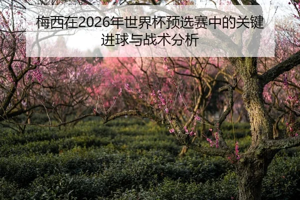 梅西在2026年世界杯预选赛中的关键进球与战术分析